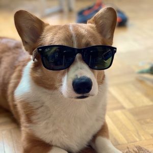 Ray-Ban New Wayfarer Classic | authentic